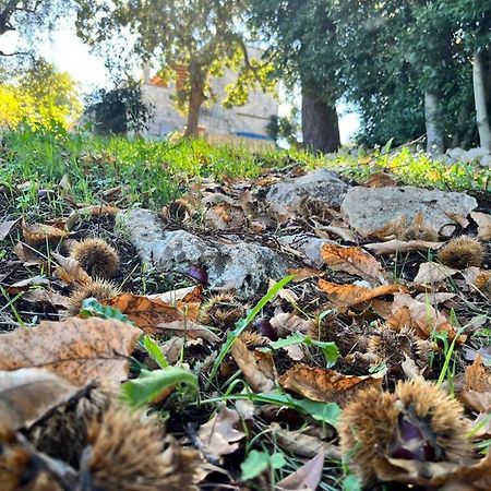Il Trullo E Il Fortino Альберобелло Екстер'єр фото